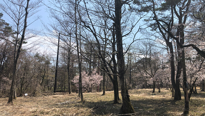 西区10丁目7番地