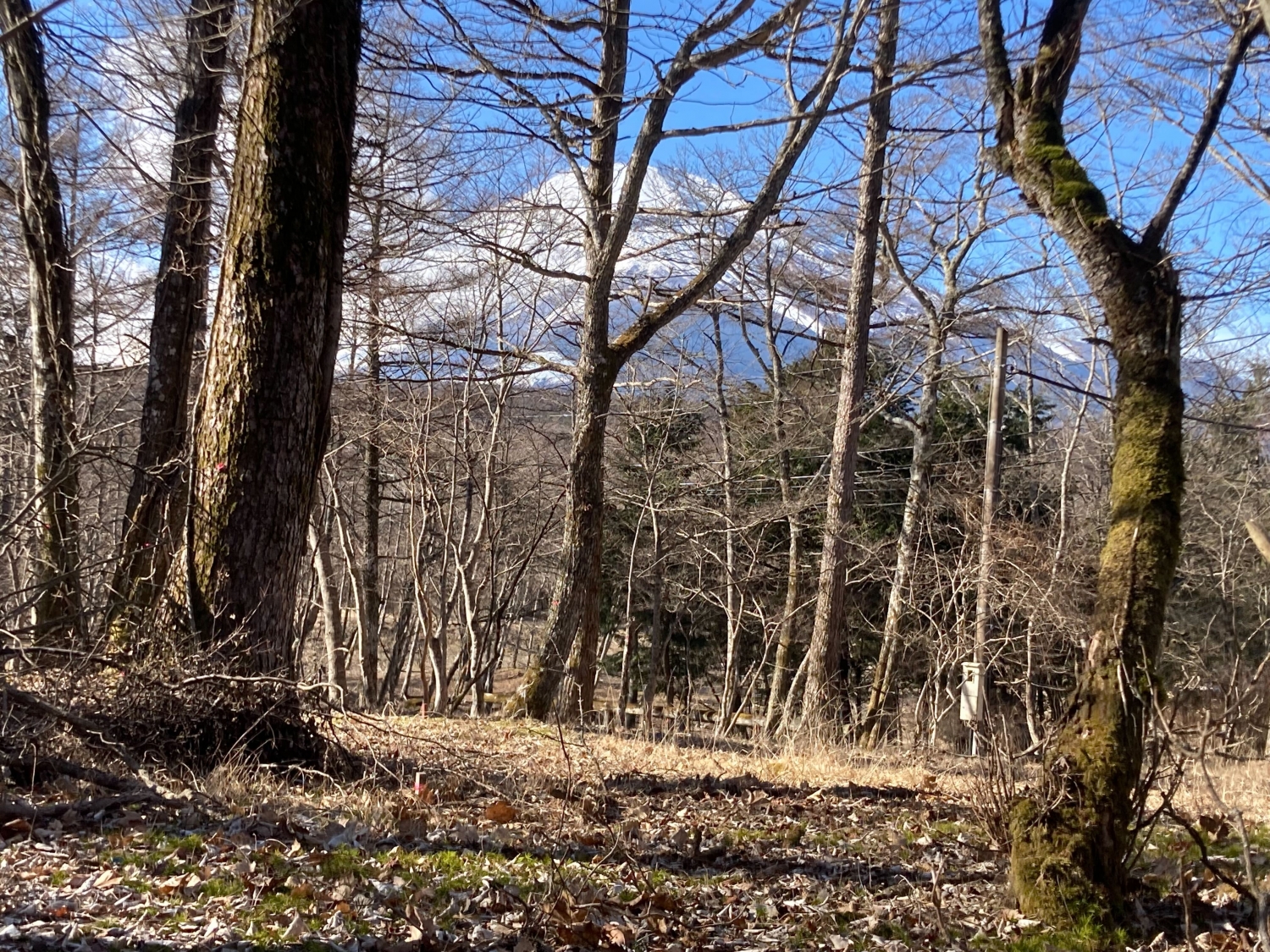 【富士山眺望】清楚な街並みで富士山を身近に感じる（中区2-7-7）