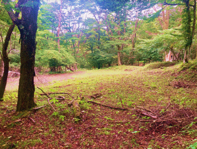 【明るい森】静かな森の開けた一角（富士紅葉丘2-18）