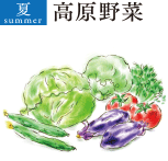 夏 高原野菜